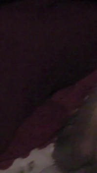 Anna ölaoanna70f