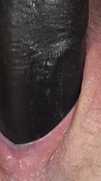Cuckold's Blacked Wife's Breeding