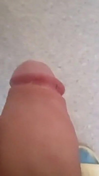 VID_20241009_084748477.mp4