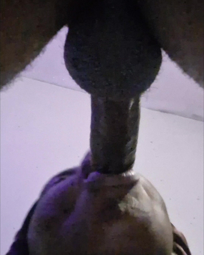 Pperfect lips: जोरदार लंड चुसाई