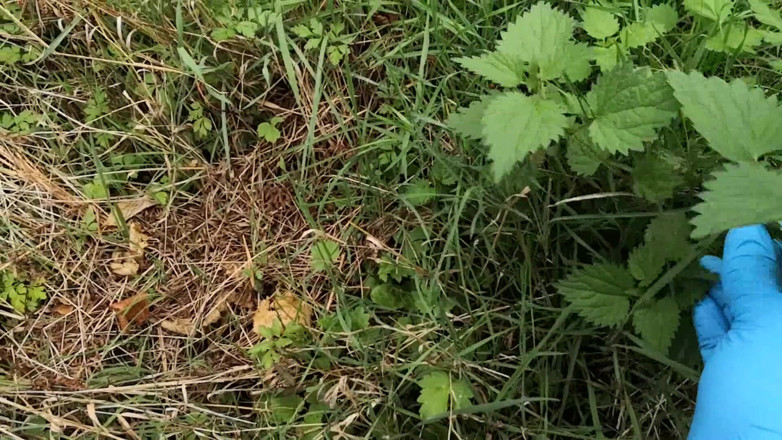 Bouncy Tits Action: Strafwandeling - haar beha en slipje vullen in het bos