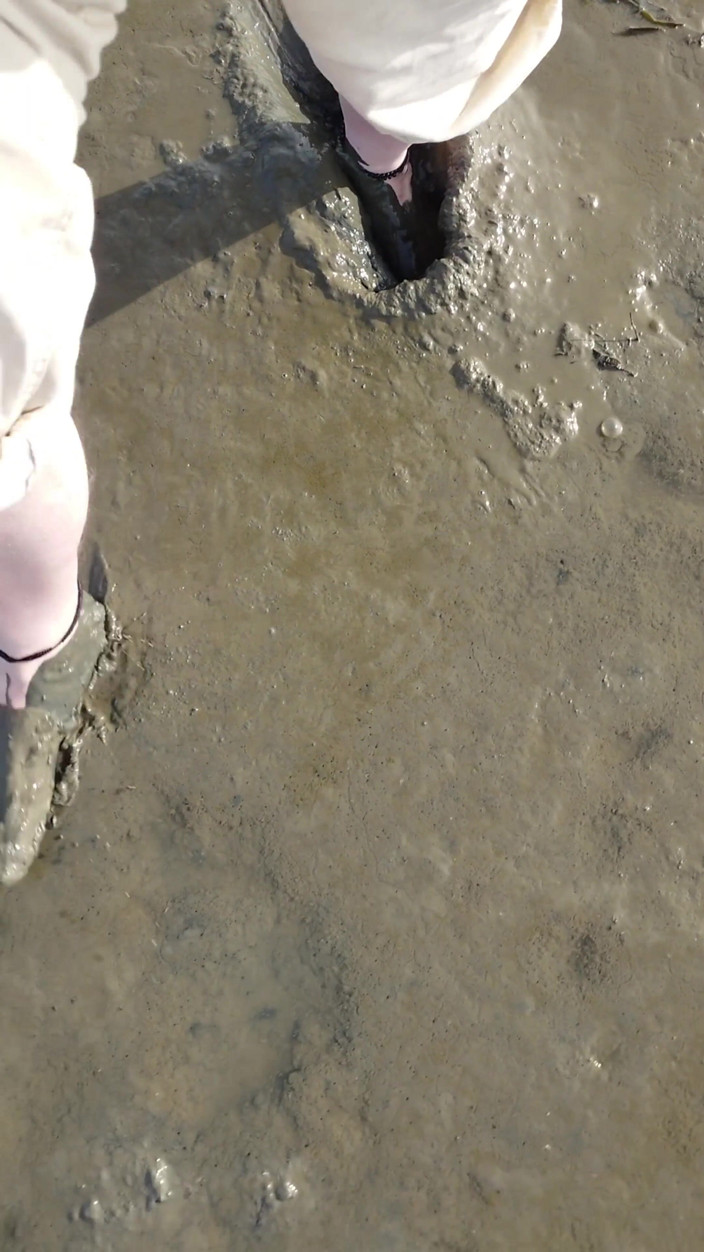 Footfetish: Short Test in the Mudflats on the Beach of Horumersiel