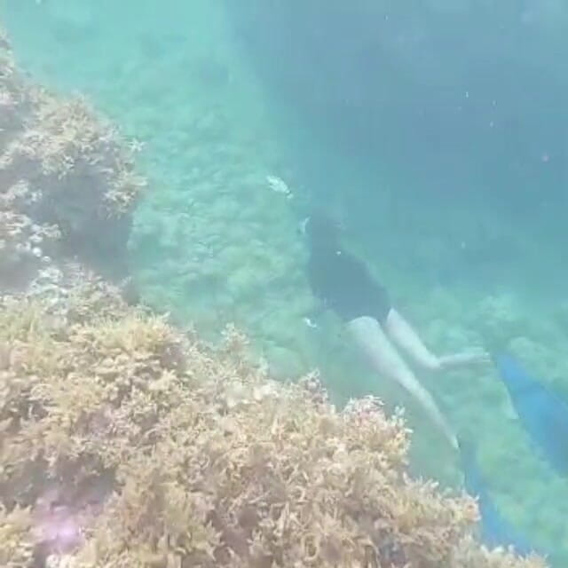 creamberryfairy: Ima Mermaid