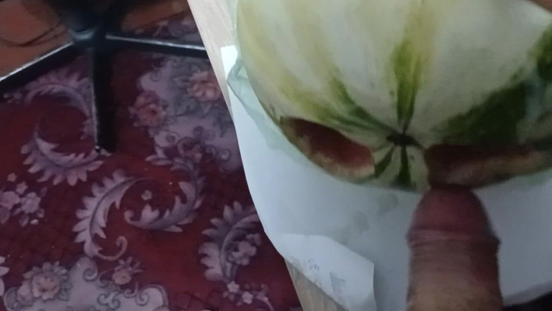AlexCat: Pomelo sangat erotik