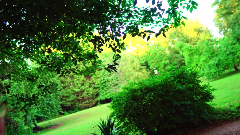 JessieHH: Відпустка з мачухою безкоштовно