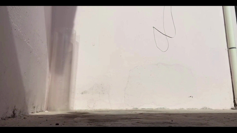 arabeputo: 흥분한 아침에 스트레칭.