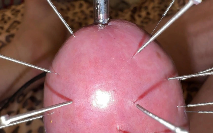 Qualzucht: यह बहुत खास था