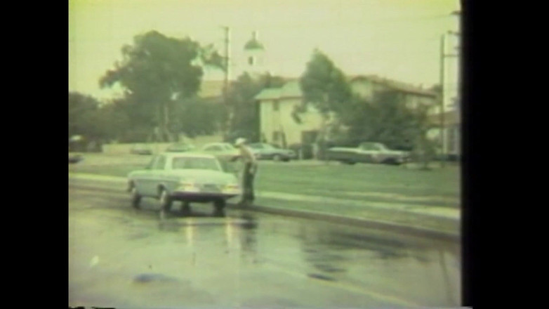 Vintage Usa: Ця кицька моя