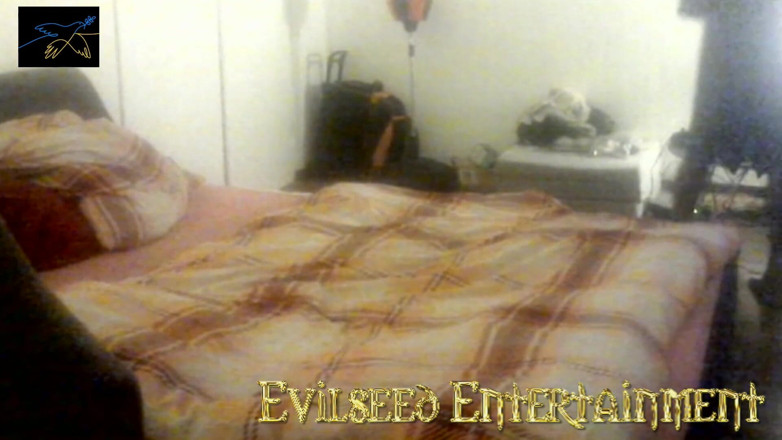 Evilseed Entertainment: After Midnight Bowling and More
