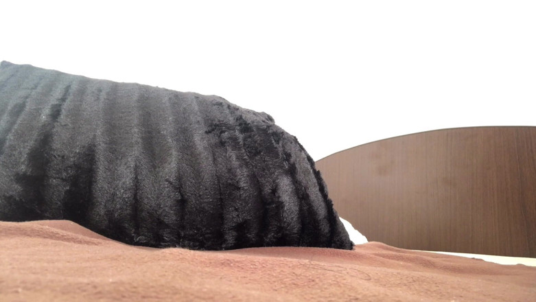 Ashamodel: Fingering pantat berlumur minyak