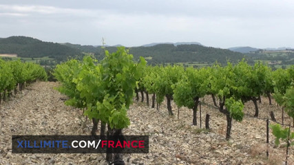 Made In France: Outdoor sex in the vineyards