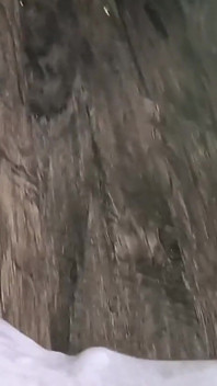 Big Compilation Berrybutt Pissing