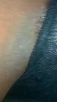 The Nice Pussy