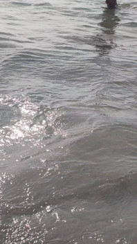 Bts Blooper Open Ocean Phootshot