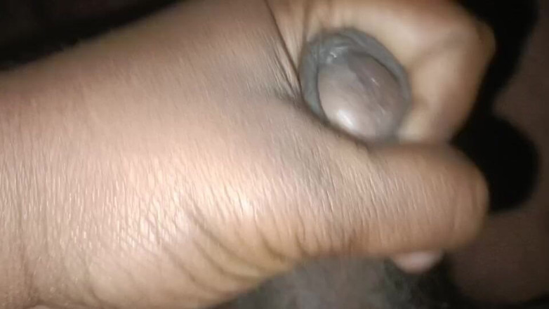 LegalVector8: インディアン・ボーイ