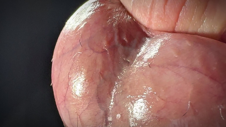 Leonardo-1974: 젖을 짜고 빨아주는 18세 소녀