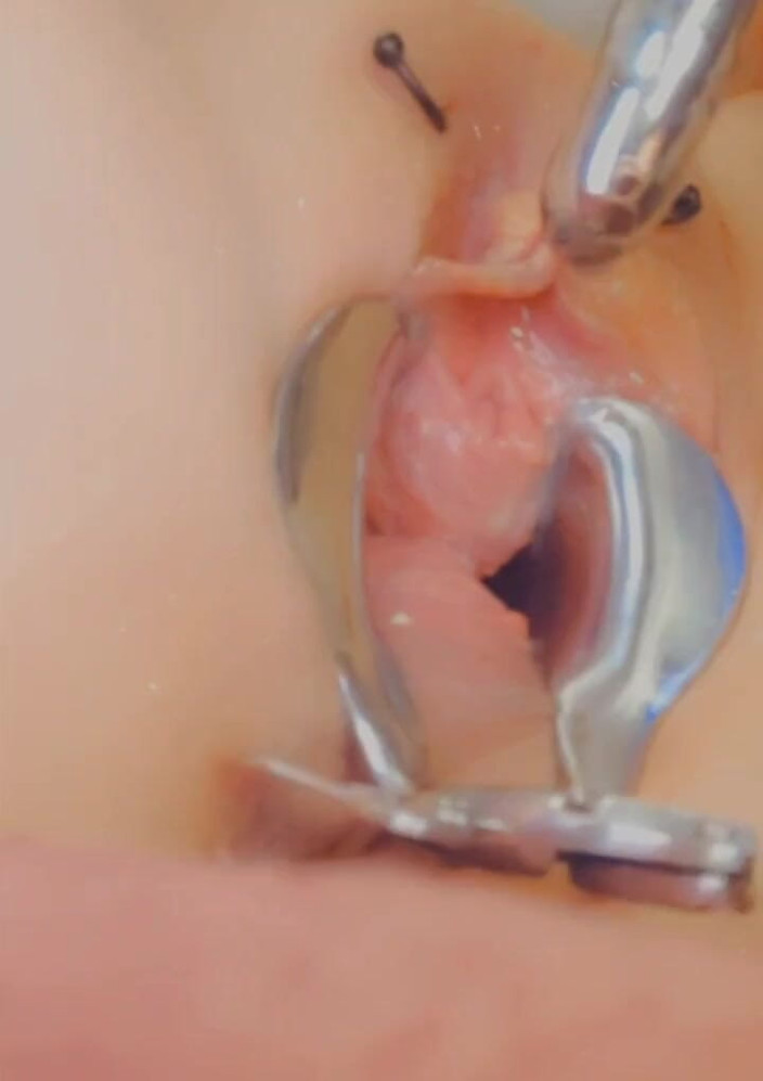 SklavinS_pervert: Niemiecki Sub Sklavins nowy peehole szkolenie niewolników! Dopóki jej mistrz...