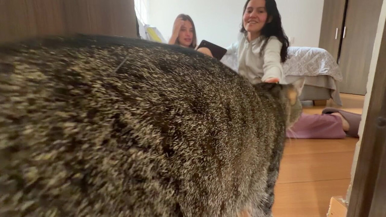 scarlettandc: Sekspoëzie eindigt in heftige seks tussen huisgenoten