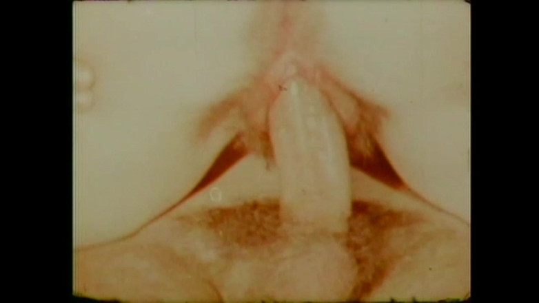 Vintage Usa: Il Citriolo Della Spesa