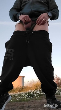 W polu Pokazano stringi