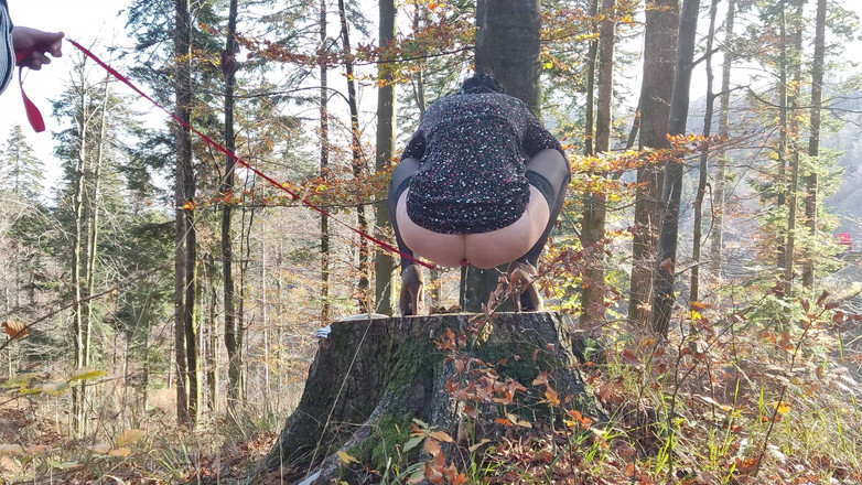 Toilet Mommy: Відчайдушно намагаючись пописати, їй доводиться мочитися з повідкою на відкритому повітрі