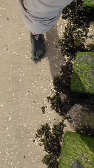 Footfetish: Short Test in the Mudflats on the Beach of Horumersiel