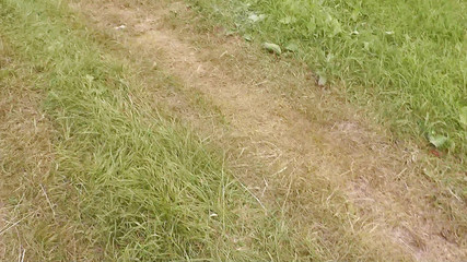 XXX-Platinum: Random Passerby Watching Sex in Backseat of Car. Outdoors