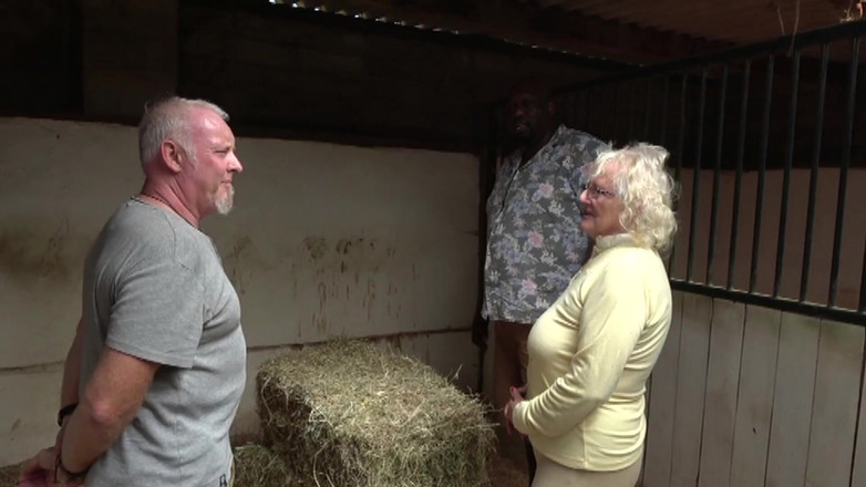 Uk Joolz: Lady Claire and the Farm Hands