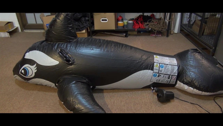 OrangeXXOO: Fată cu balenă