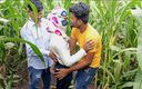 Indian Hijraji: Indische Pooja Shemale Boyfrends namen vandaag een nieuwe vriend mee...