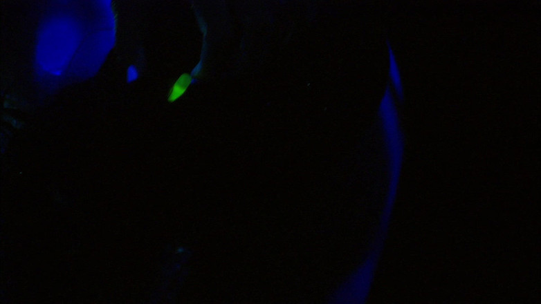 Tight little babes: 女同性恋外星人去它