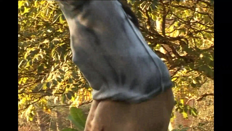 Mon Amie: Vykuř mého velkého tvrdého černého ptáka, chlapče, budu se vystříkat do...