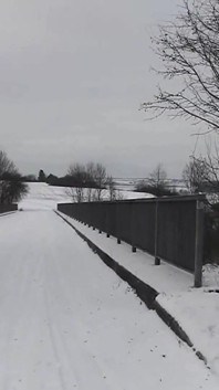 Bogel di tempat awam di Snow