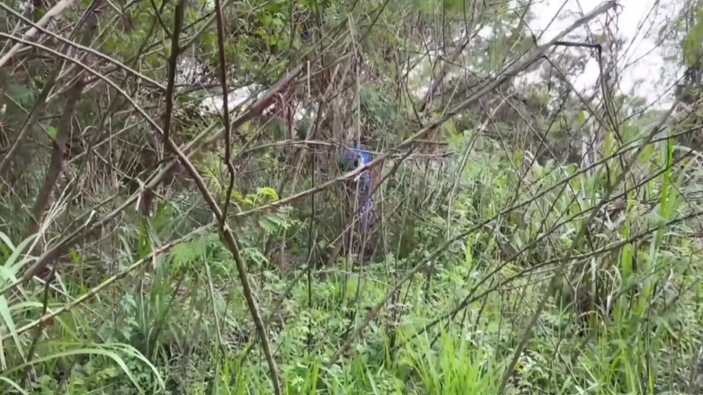 TheBlacKHunterr: 일꾼이 공원을 지나가다가