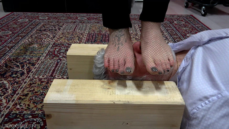 Lady Scarlet: Lady Scarlet - față de plasă