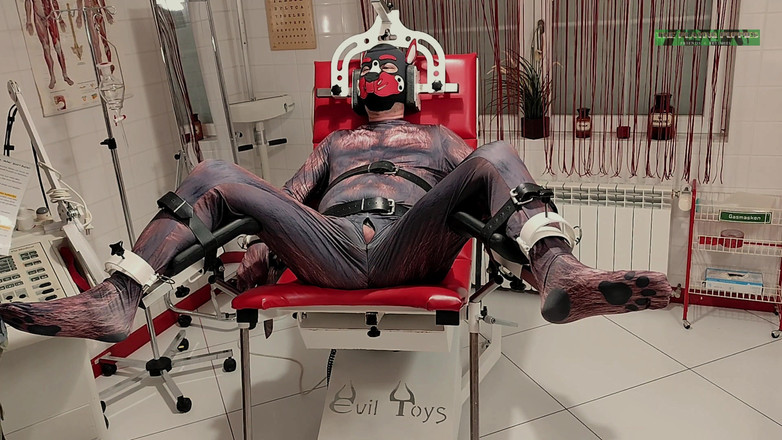 The Playing Puppies: Гра цуценят на першому іспиті