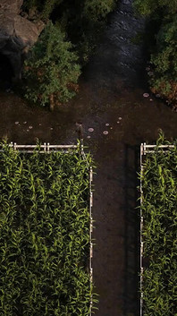 The Genesis Order: Breading in the Cave - Episode 212