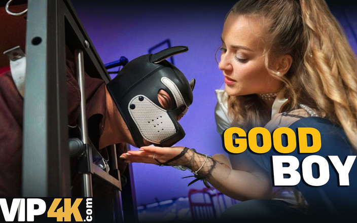 VIP 4K: Kroniki fetyszu funhouse