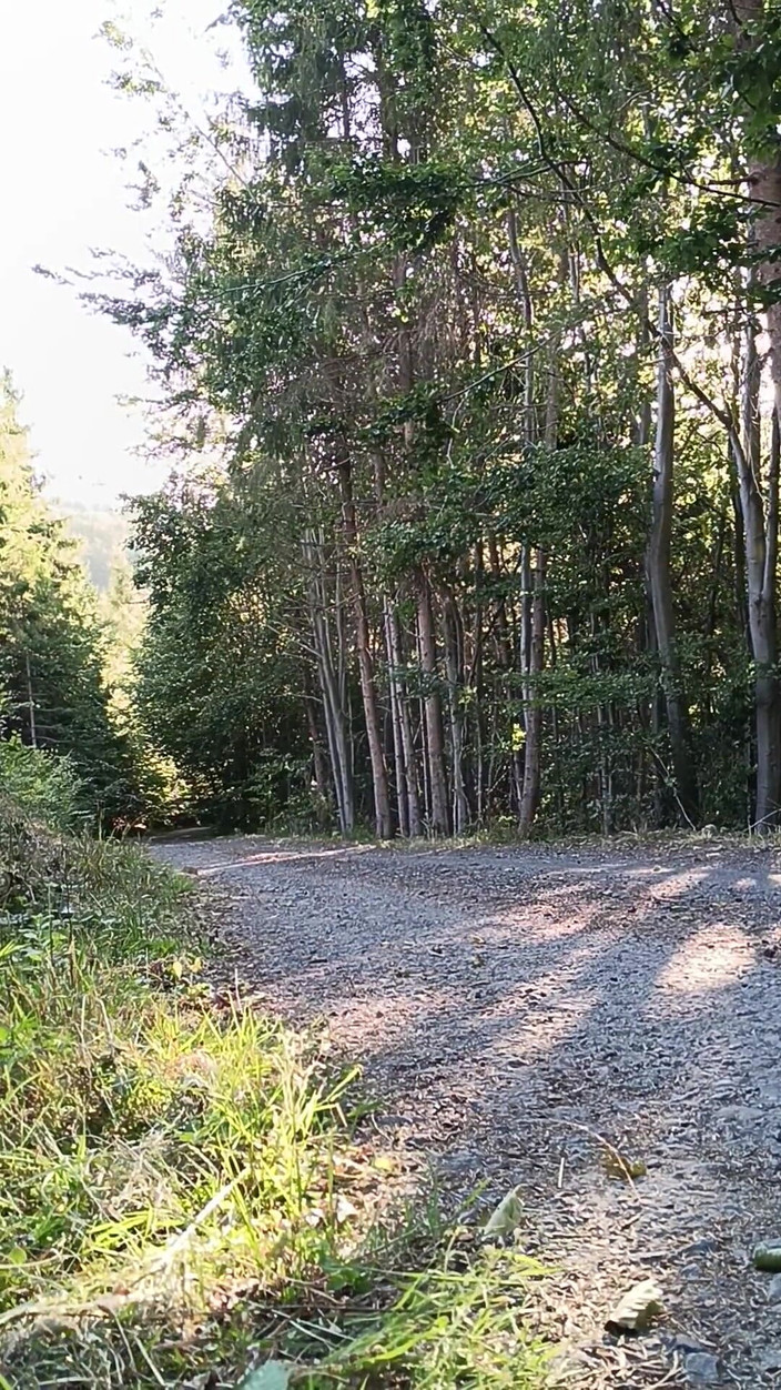 kickerscooter: Scooter Rider masturbasi di luar ruangan