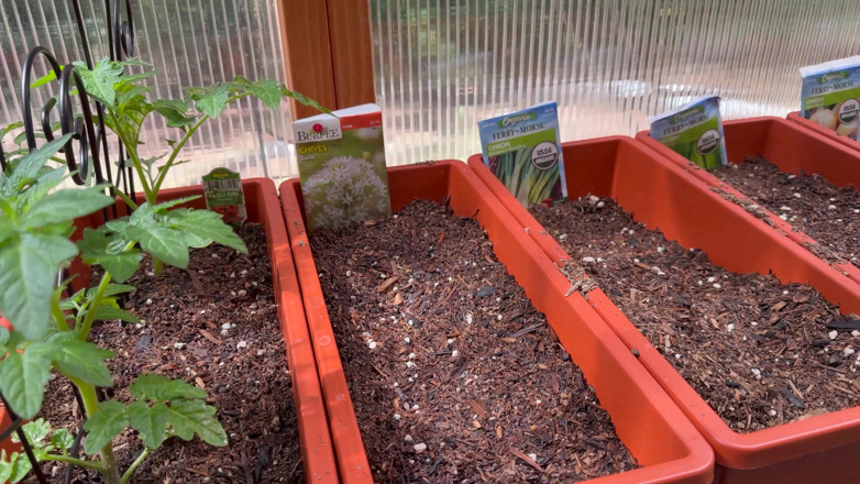 Destination Kat: Spring Greenhouse Tour