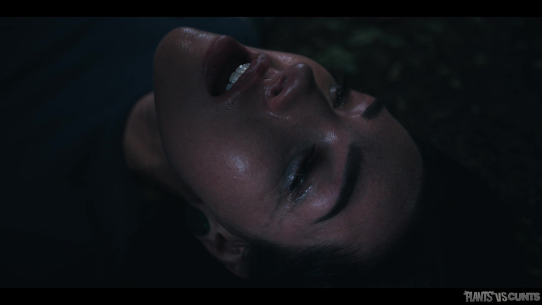 Plants vs Cunts: Kniha kletby