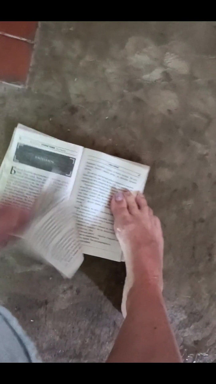 FrauleinP: Mi sono disperato durante la lettura di un libro.