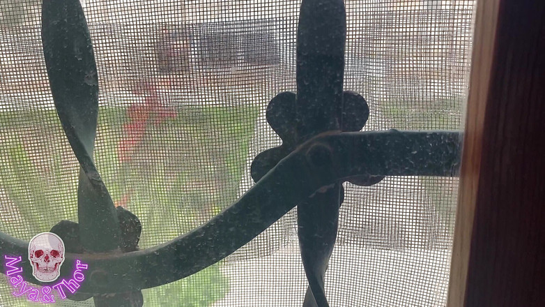 Mayay Thor X: 送货员帮助我，以换取我操他，并记录下来给我老公看