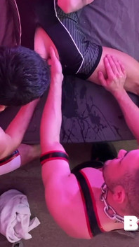 Trois petits cochons