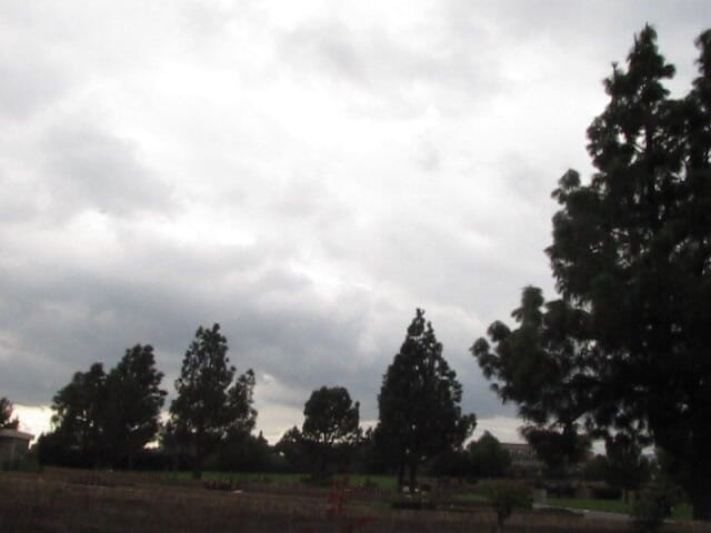 The porky pervert: Дрочка в парке на улице 3