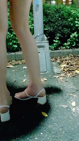 Taiwancdgirl: Crossdressertingting Outdoor Anal