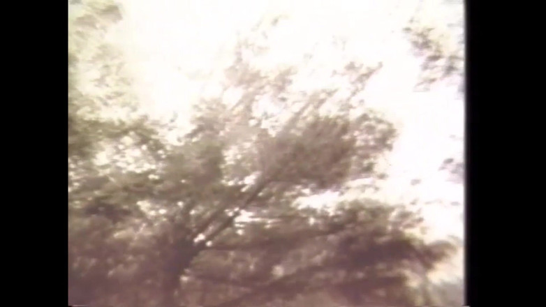 Vintage megastore: Andrea True Und Ihr Team Im Wald