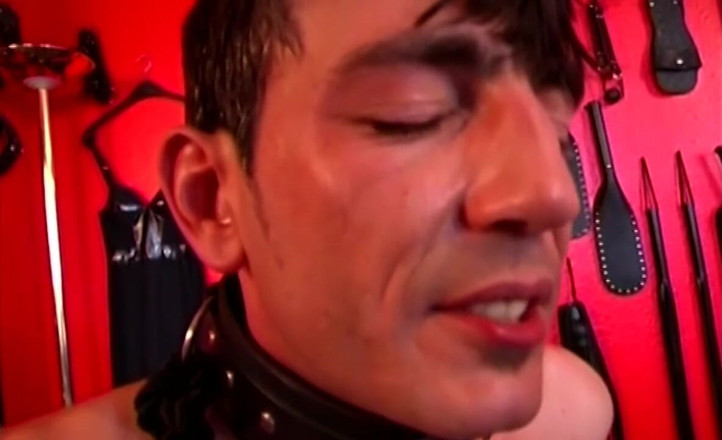 BDSM6.CLUB: Dominante MILfs pegging halsband-sklaven mit dicken strap-ons