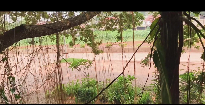 18_honey: Buongiorno, vorreste una tazza di caffè?