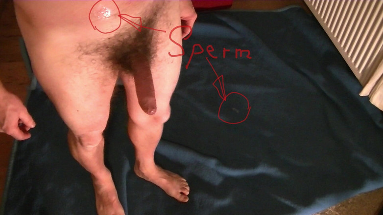 Mark Hannes: Nahý hump masturbace na modrém koberci